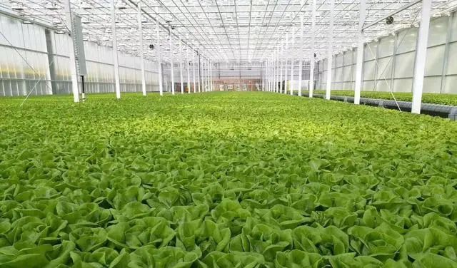 微信圖片_20230808100743_3.jpg 微信圖片_20230808100743_3.jpg